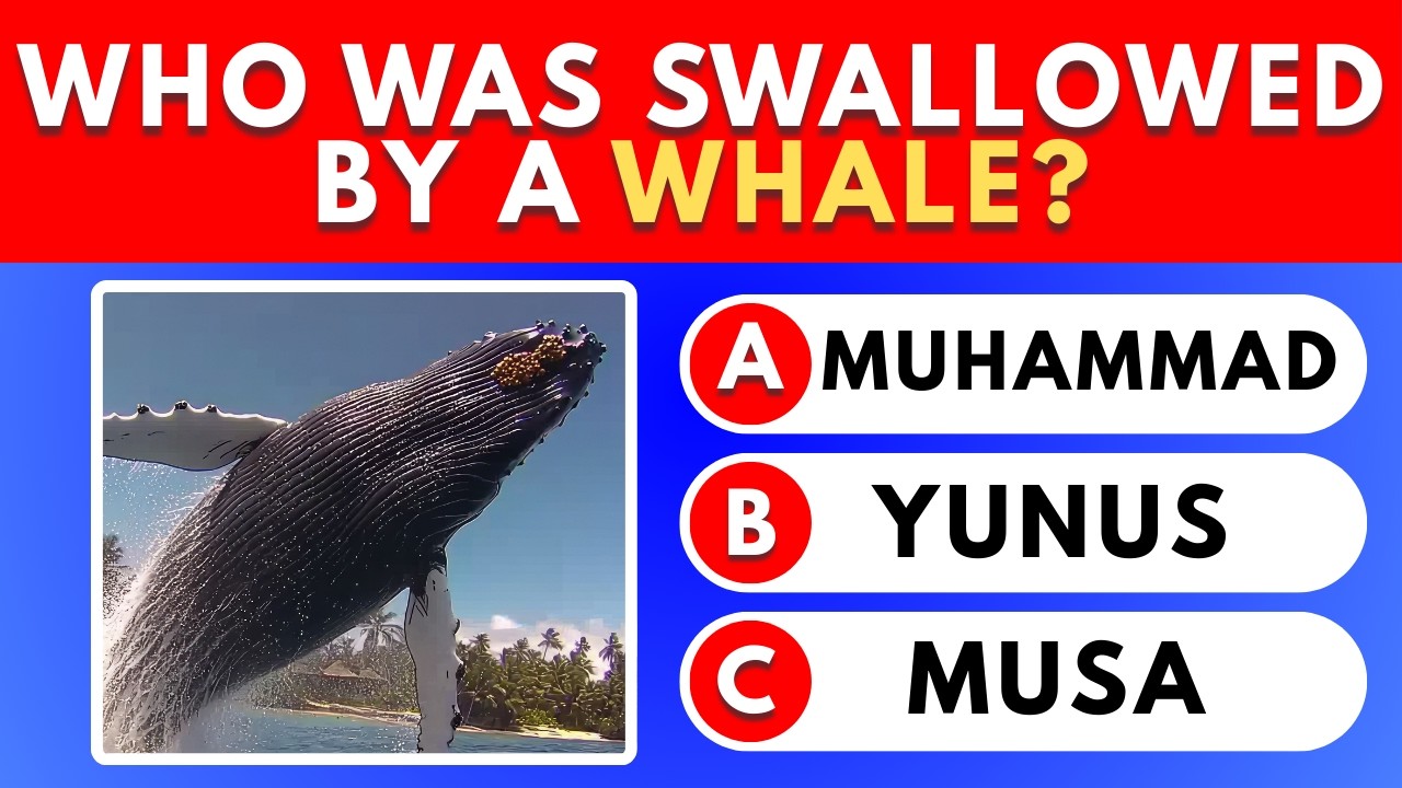 Islam General Knowledge Quiz (No Narration) | Islam Trivia