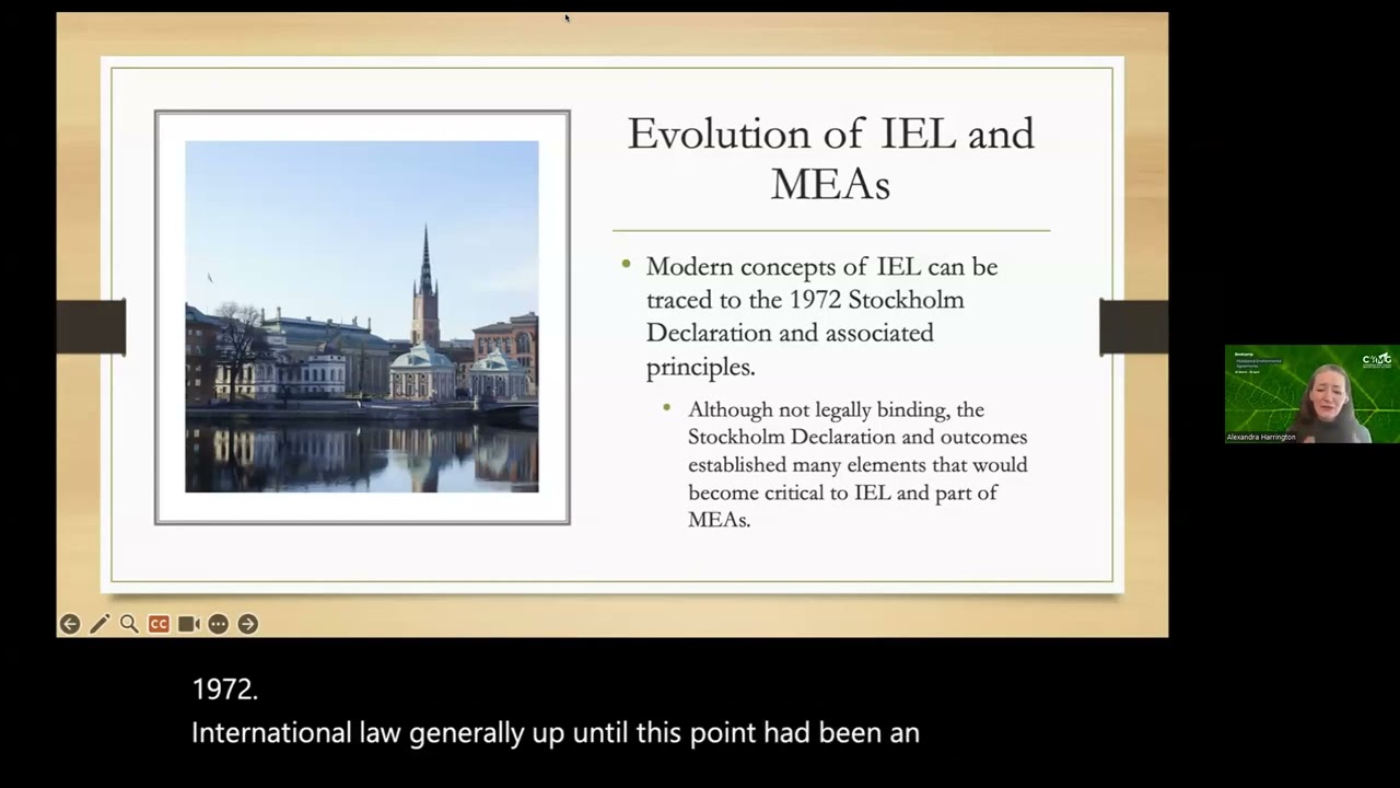 MEA Bootcamp | Module 2:  International Environmental Law | Lesson 1