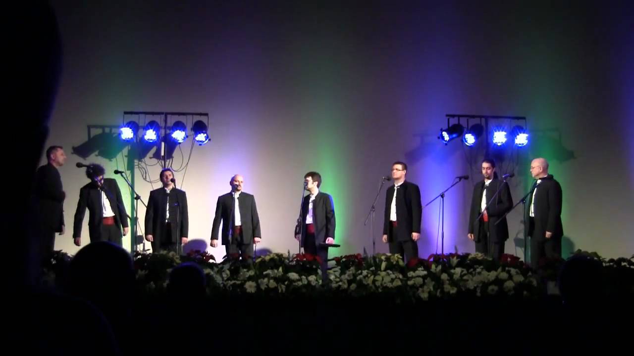 Klapa Petrada  - Dobra večer ružo moja - Serenada Marići Dvorana SC-a ZG - 29-11-09