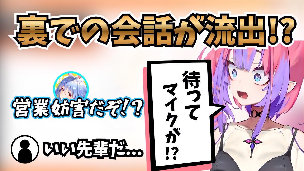 裏での会話を流出してしまうヴィヴィ【ホロライブ/綺々羅々ヴィヴィ/兎田ぺこら】