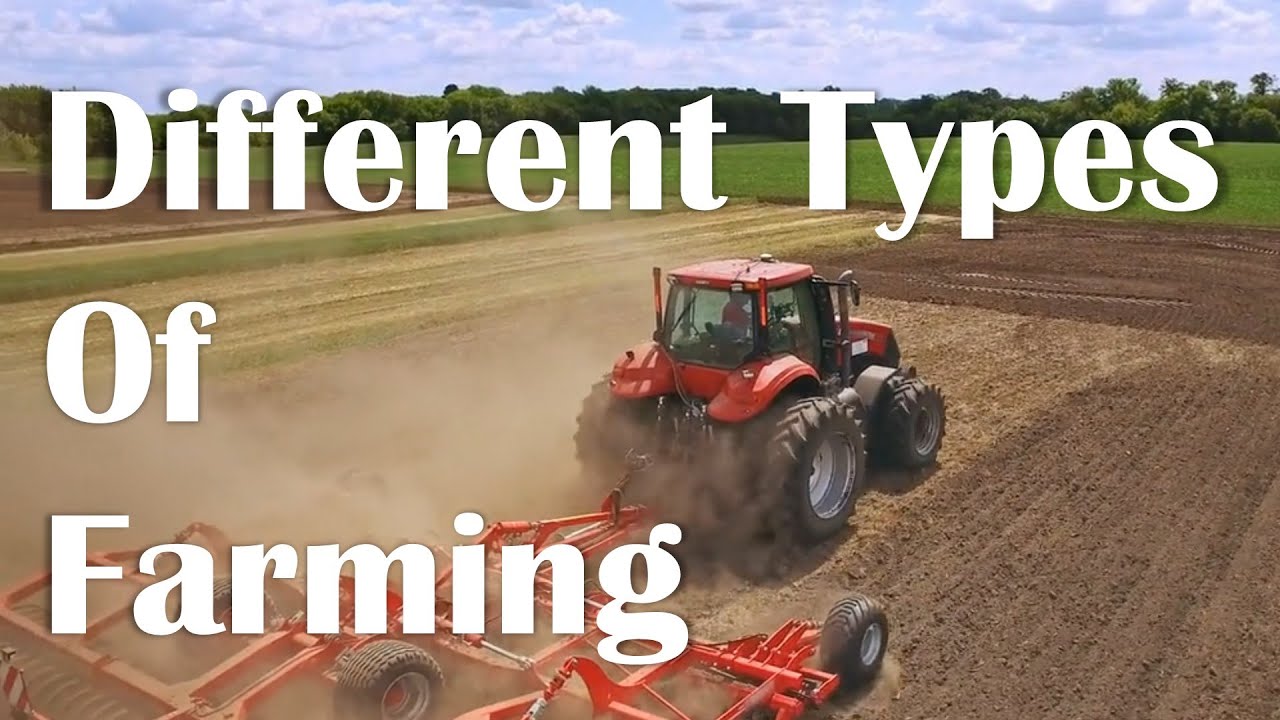 What are the different types of Farming? We explore in more detail from Arable to Livestock
