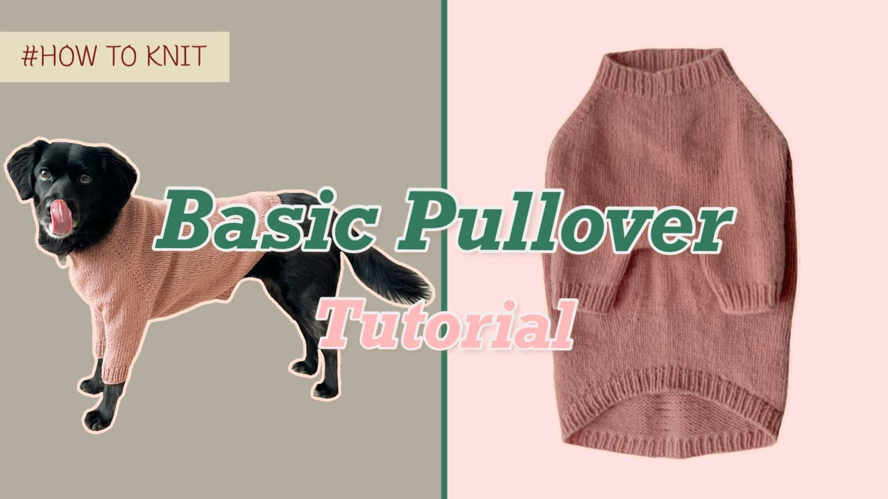 [영상 도안] 누구나 쉽게 뜨는 강아지옷 “Basic Pullover”