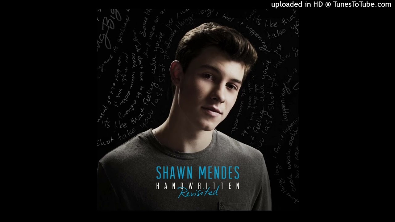 Shawn Mendes - Stitches (Pitched)