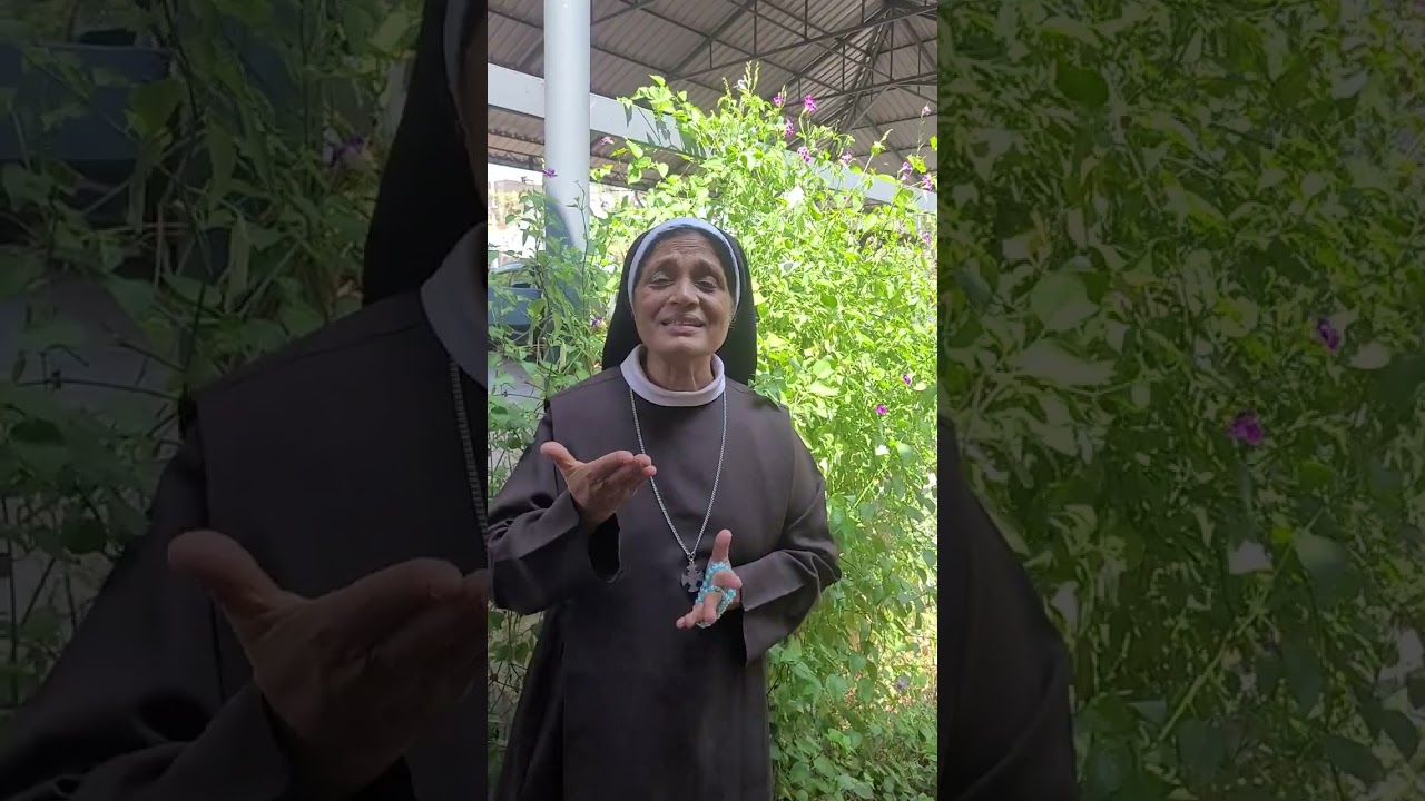 കാർമ്മൽസിസ്റ്റർ സത്യങ്ങൾ വിളിച്ചുപറയുന്നു 