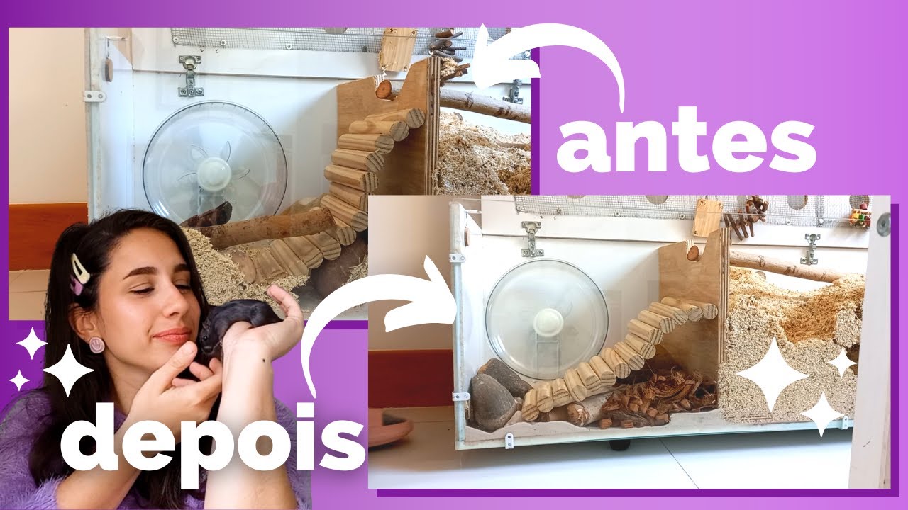 Manutenção de LIMPEZA no terrário dos meus gerbinhos + Momentos de INTERAÇÃO 🧽🥰🐁