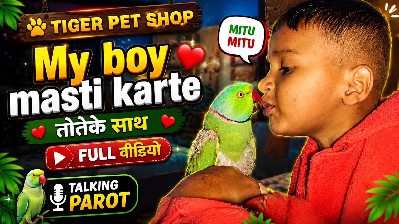 My Son parot full masti taeim #birds #animals #subscribe #cute #reels #shortvideo #status 👍#vilog👦🦜🐦