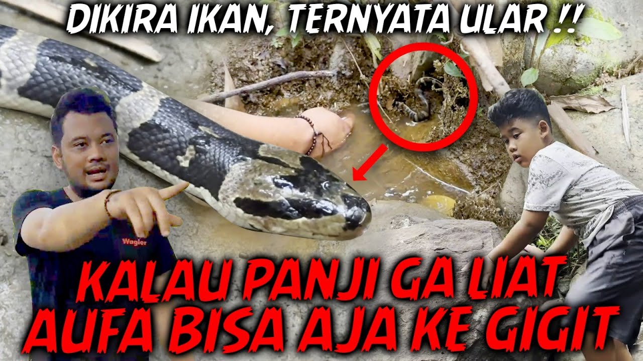 AJAK AUFA KE SUNGAI & HUTAN.. RUTENYA SULIT, LICIN, DAN  BANYAK ULAR PENGHUNINYA. HARUS HATI-HATI !!