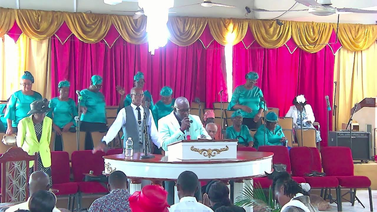 BTA Live Stream