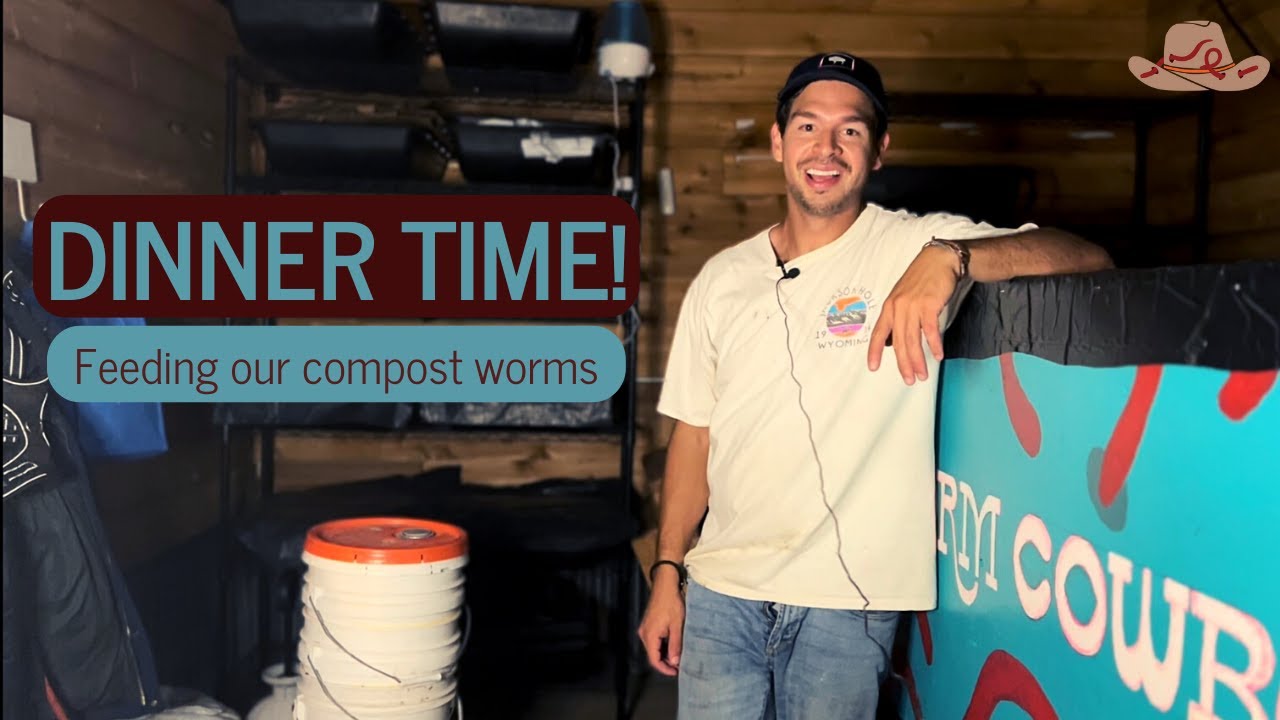 How To Feed A Large Scale Worm Farm