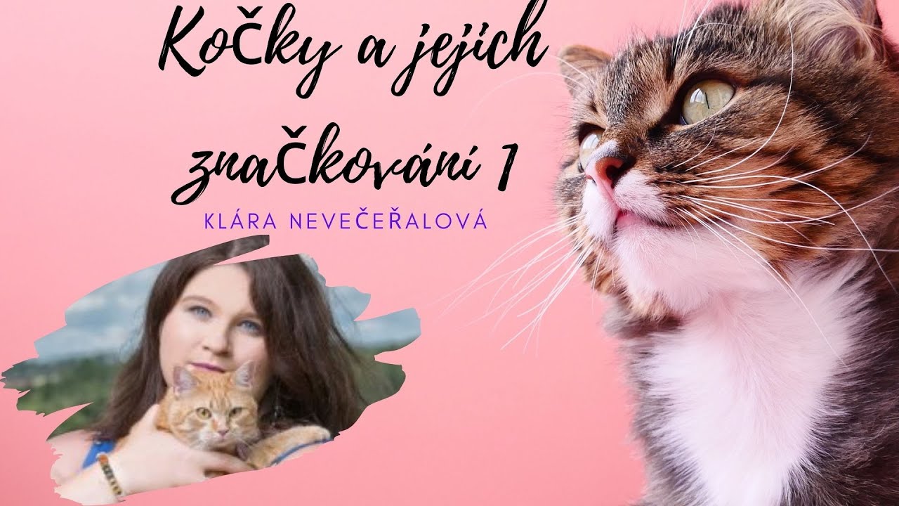 Kočičí značkování -Značkování močí