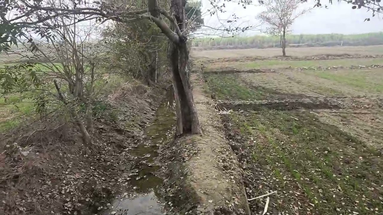 5 Acre Land For Sale In Bhiwani 2 Acre Road FRONT #propertyforsale 