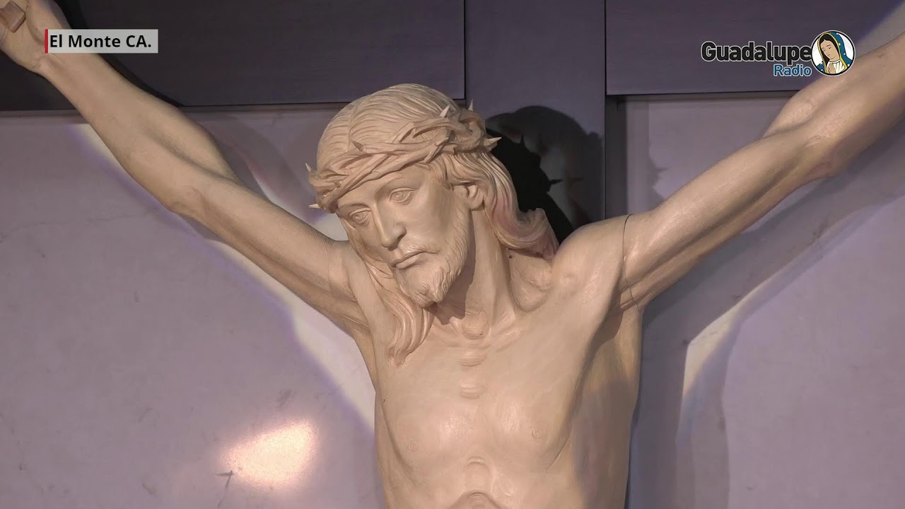El Señor De La Misericordia, 12 de Febrero de 2026