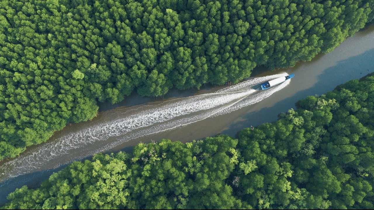 Cinematic shot with dji Mavic 4 Pro / Mangrove village by Boat I Cambodia