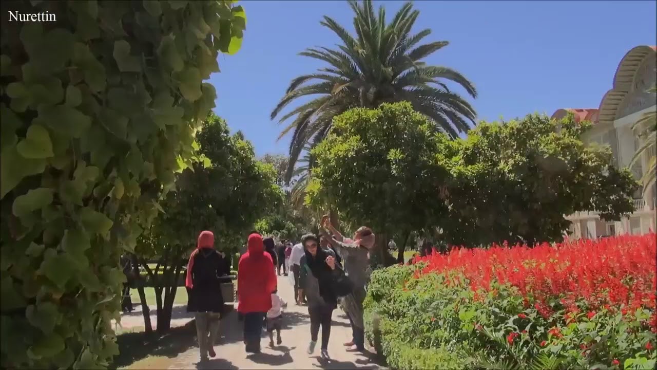 The Persian Garden: Baq e Eram