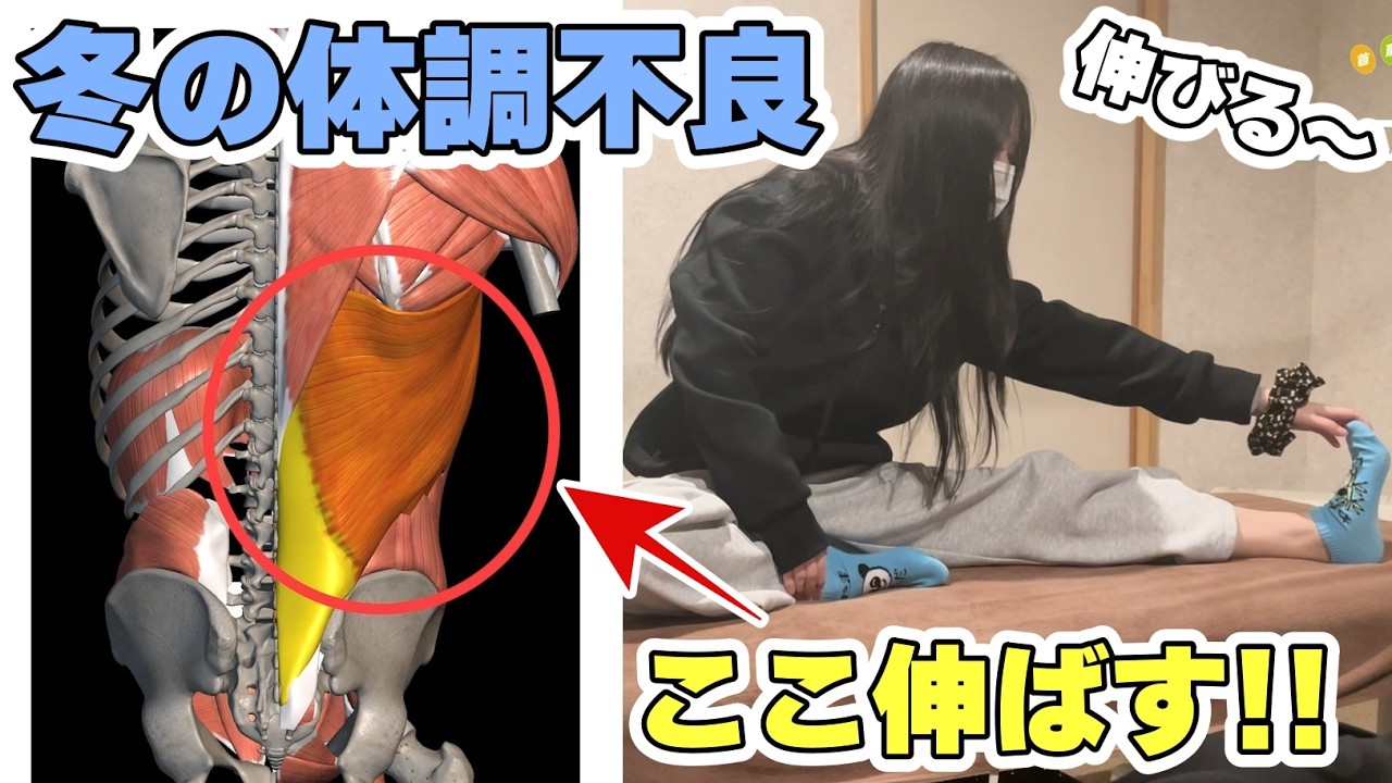 【冬の体調不良】全身を伸ばすストレッチで冬を乗り切る【もみほぐし・もみつぼ5】
