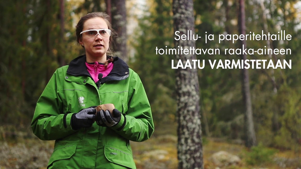 Anni Inkilä on yksi UPM Metsän neljästä laatuasiantuntijasta