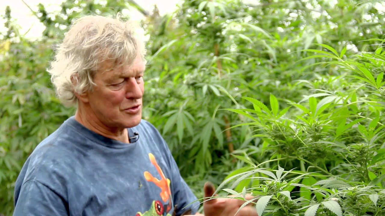 Doedeledocu-deel4
