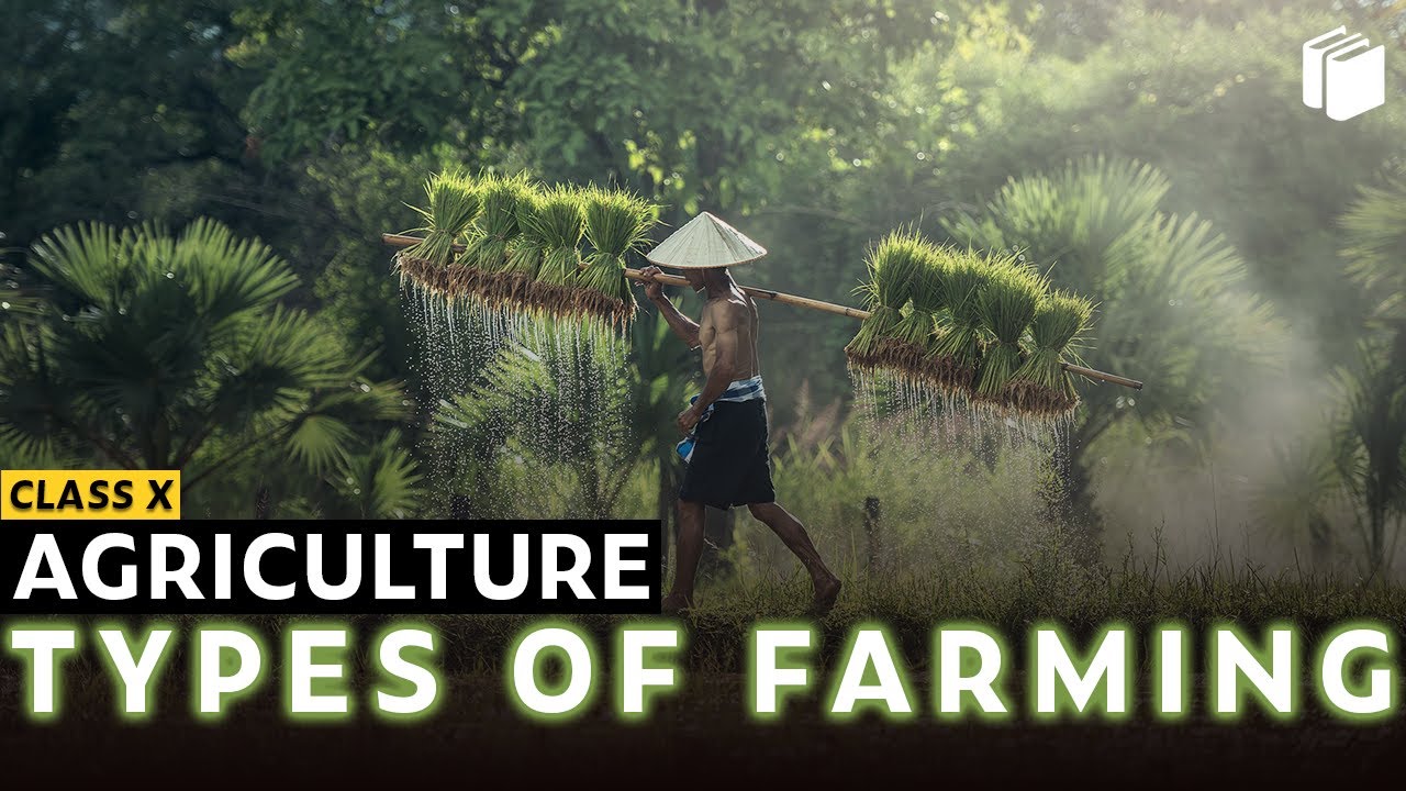 Types of Farming | Agriculture | Chapter 4 - Geography | Class 10 | PuStack