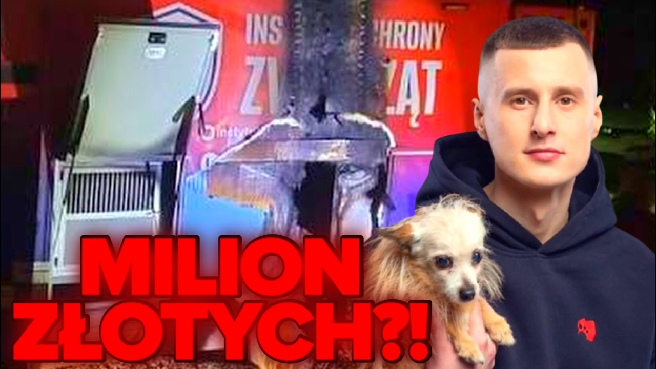 DIOZ i zbi&oacute;rka na milion złotych. O co z tym chodzi?