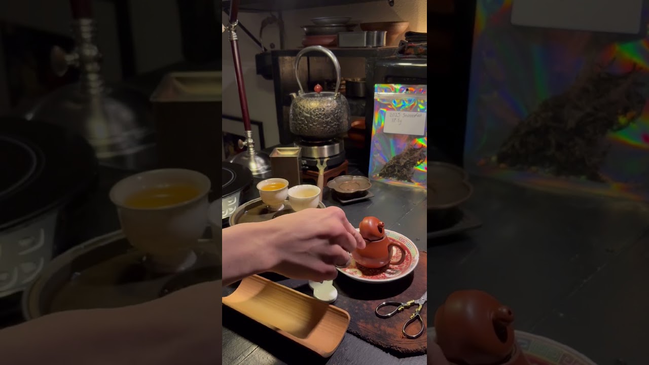 Entire Chaozhou Gongfu Session with Explanatory Commentary