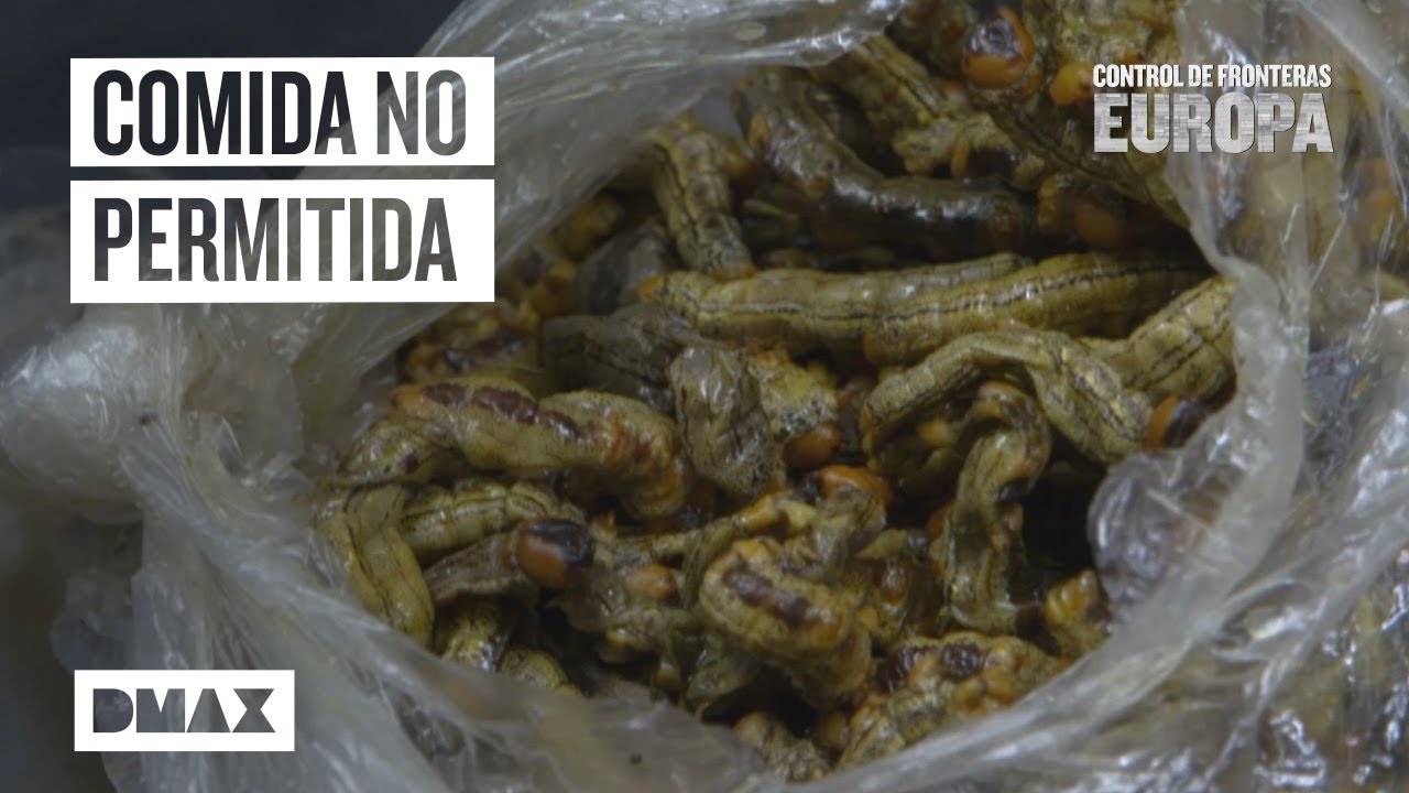 Equipajes facturados en el avión con alimentos prohibidos | Control de fronteras: Europa