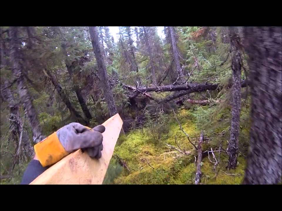 Start To New Trappers Cabin