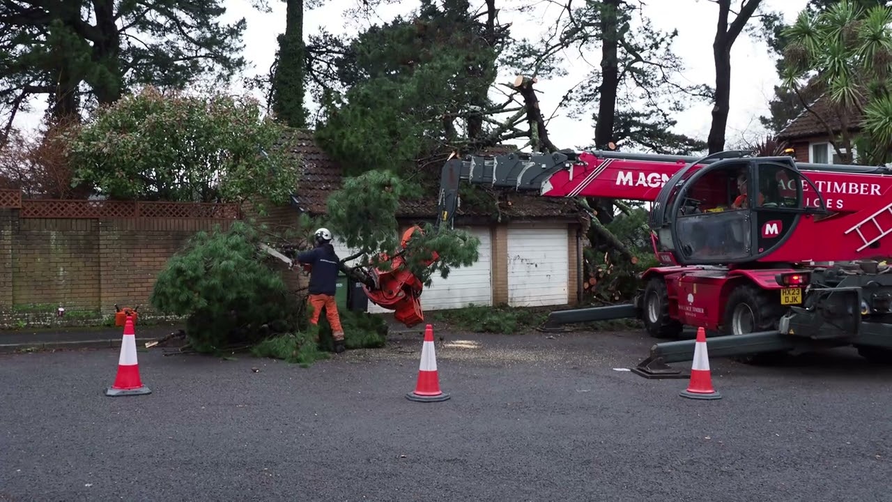 Tree Down behind us.
