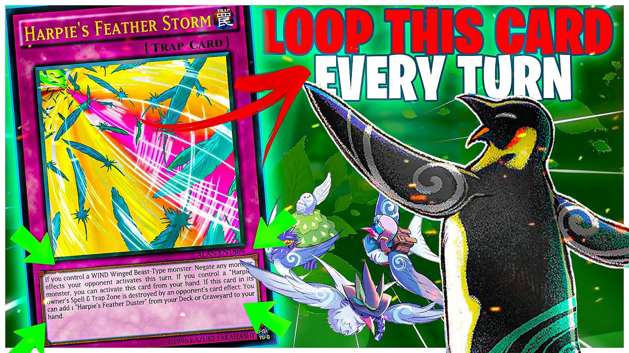 How to use Harpies Feather Strom Every Turn - Floowandereeze Deck Combo loop!!