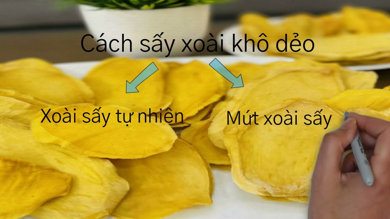 Cách sấy xoài khô dẻo tự nhiên, tìm hiểu máy sấy phù hợp