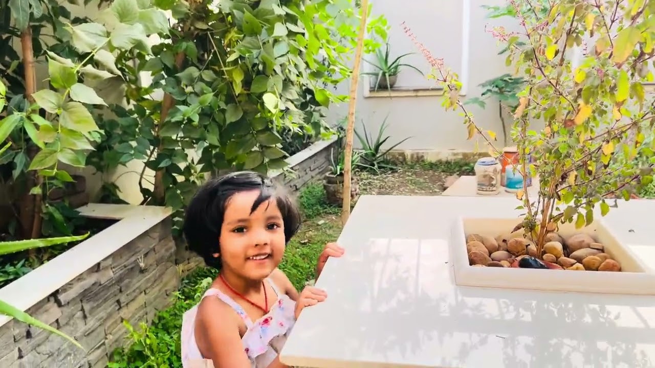 घर का पौधा गिर गया # vlogs क्या करे😯