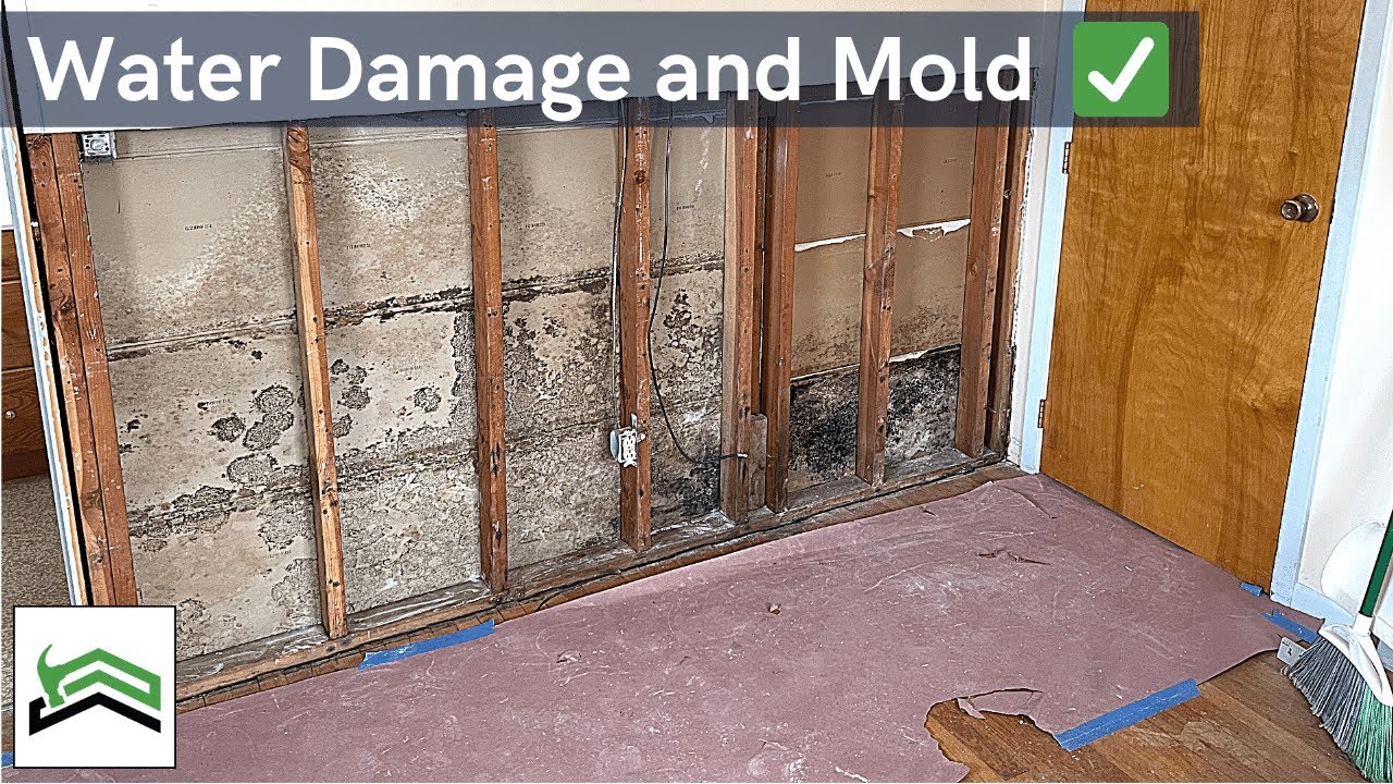 Example House Flip | Before, After, and The Numbers