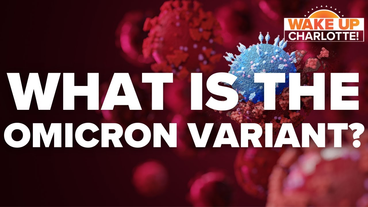 Why does the omicron variant have experts so concerned?