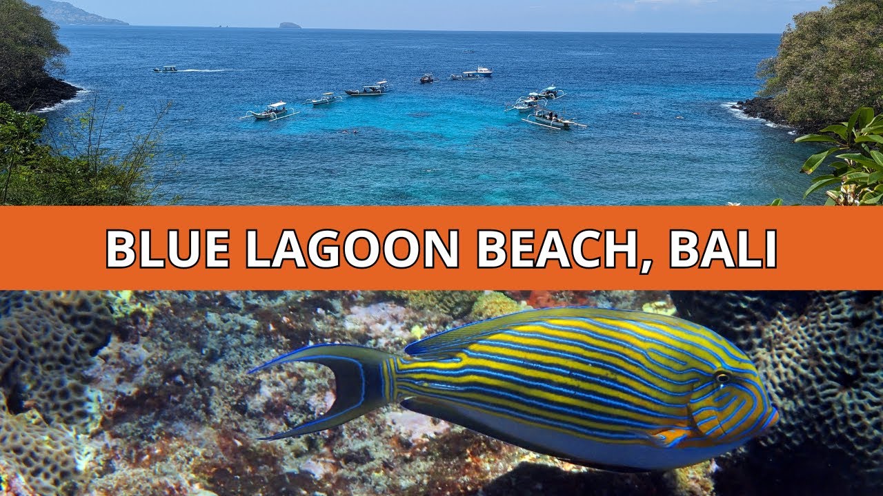 Bali Blue Lagoon Snorkeling: Local Insights!