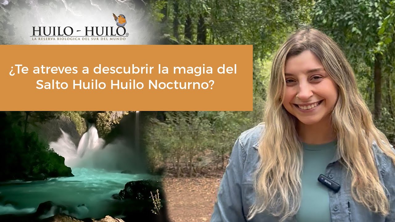 Descubre el Salto Huilo Huilo Nocturno 🌙🌳🪶