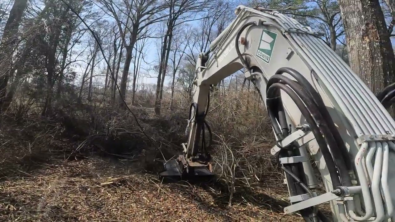 Cutting beside a creek in Holtville, Al 2/7/26