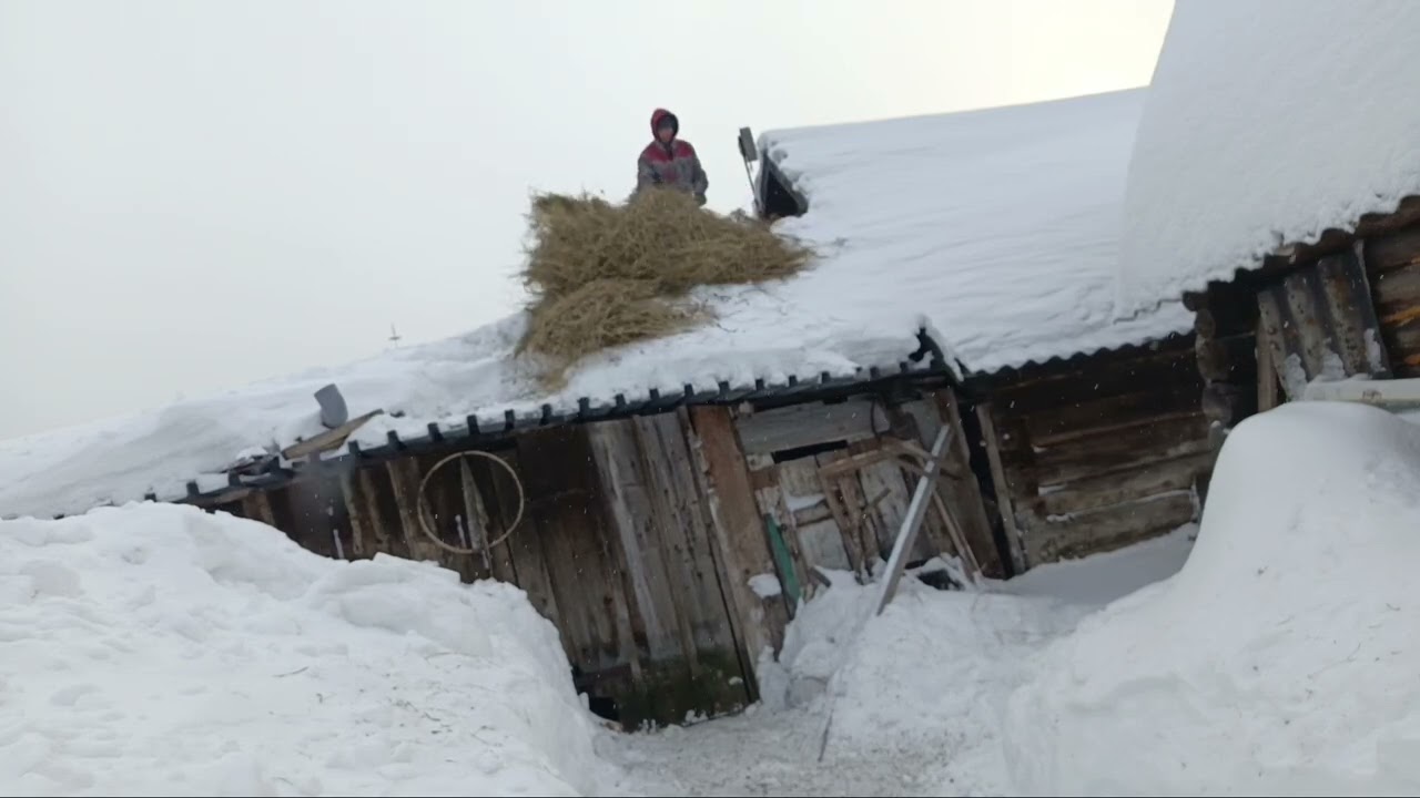 Зимний день в Сибирской деревне 