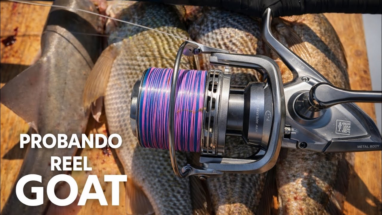 La Pesca no siempre es fácil. Probando Reel GOAT de Amberjack para pesca en Mar y Lance #pesca 