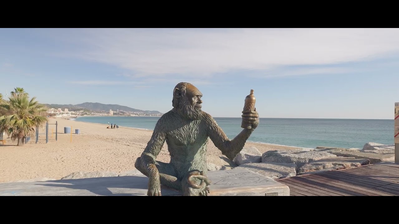 BADALONA Y SU MONO LUMIX S1 2E