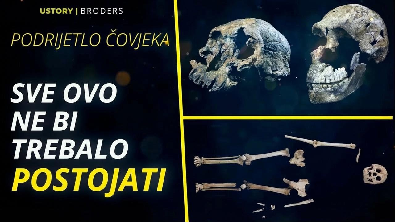 Istražujemo podrijetlo čovjeka: kosturi, laži i izmišljene vrste...