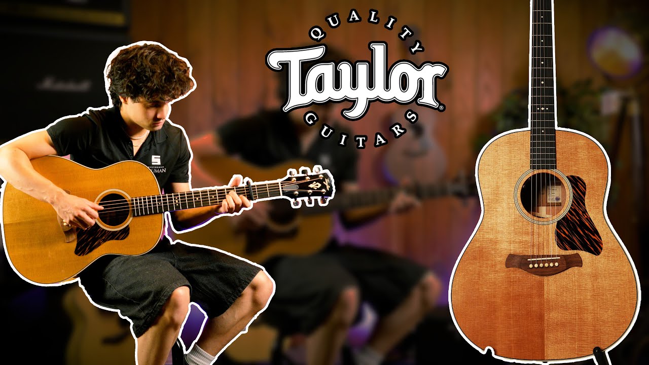 Taylor Gold Label 517e DEMO | Souman Music