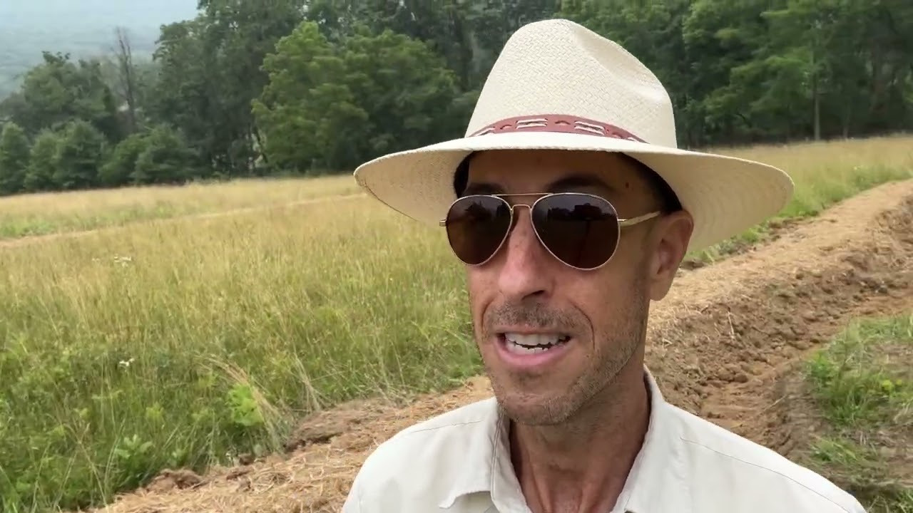 PERMACULTURE SWALES