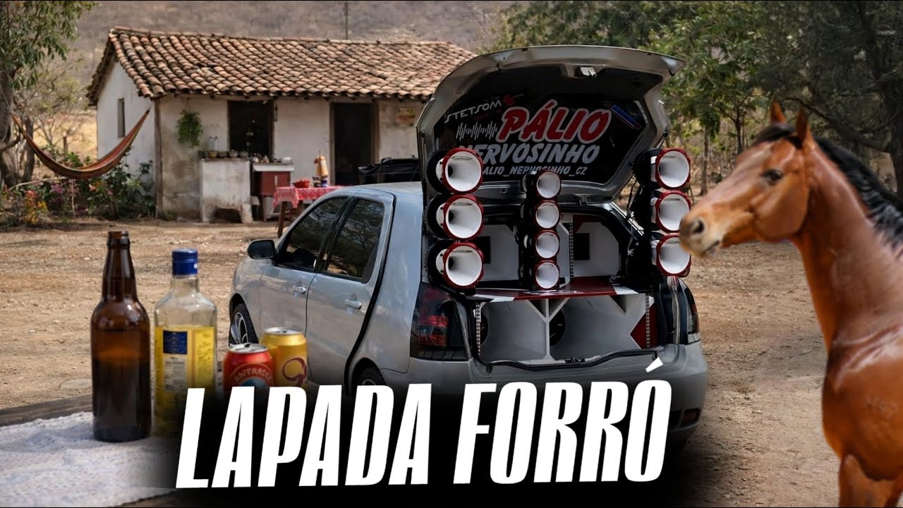 FORRÓ DE VAQUEJADA 2026 - LENHADA DE FORRO TOPADO - SELEÇÃO PRA TOMAR UMAS -FORRO 2026 NOVOS