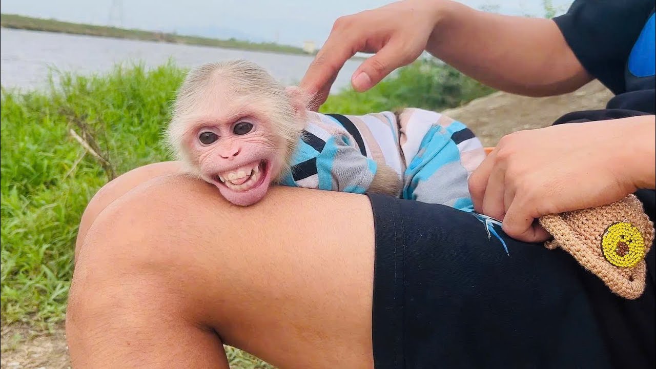 Dad, Let's Go Play in the River! : Rum Monkey said