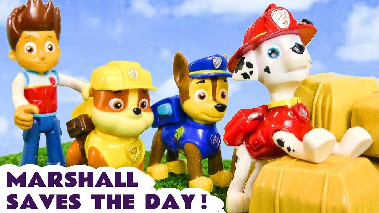 Can Marshall save the day for the other Paw Patrol pups?