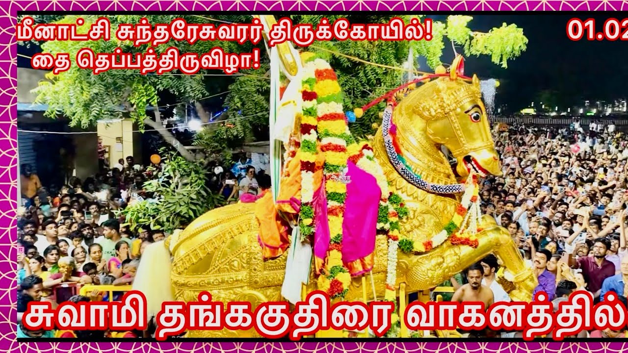 அருள்மிகு மீனாட்சி சுந்தரேசுவரர் திருக்கோயில் தை தெப்பத்திருவிழா! சுவாமி தங்ககுதிரை வாகனத்தில்!
