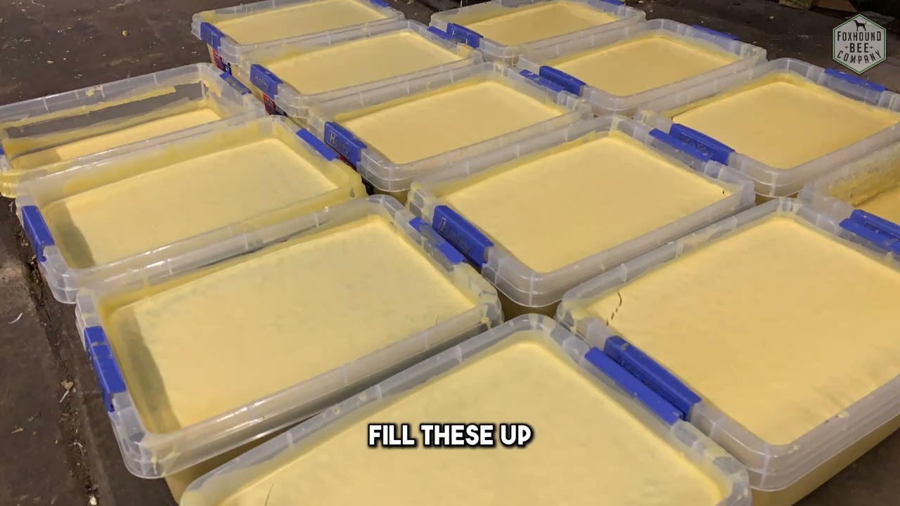 Watch this time-lapse of filtering dirty beeswax into clean blocks of pure wax