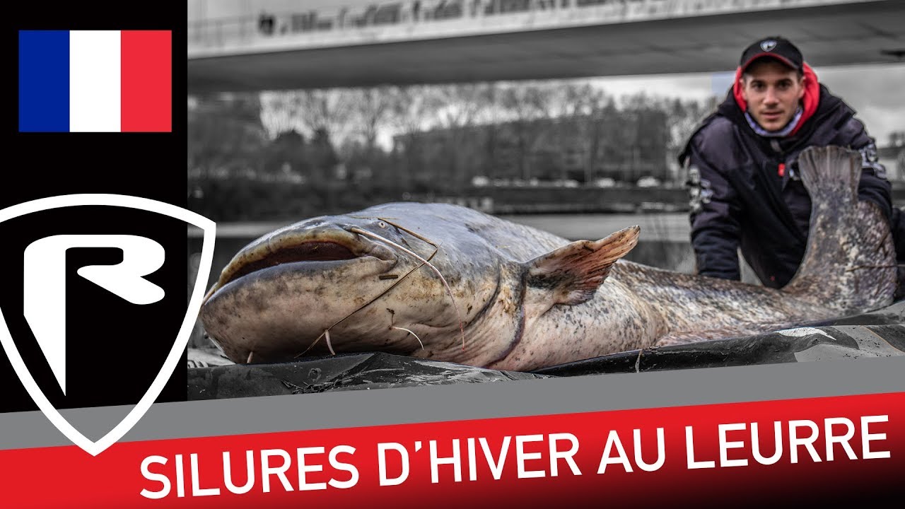 ***FOX RAGE TV France*** Silures d'hiver aux leurres