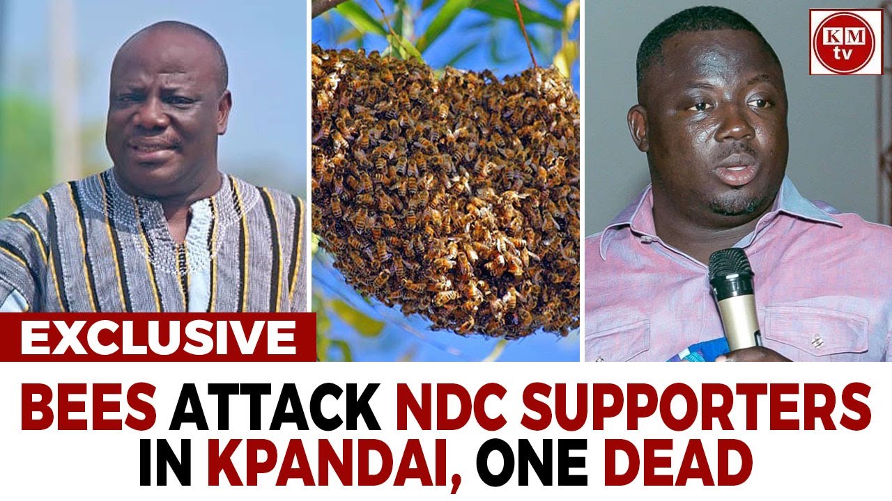 Re-run: Kpandai Gods (Bees) Invade NDC Meeting, Killing One!