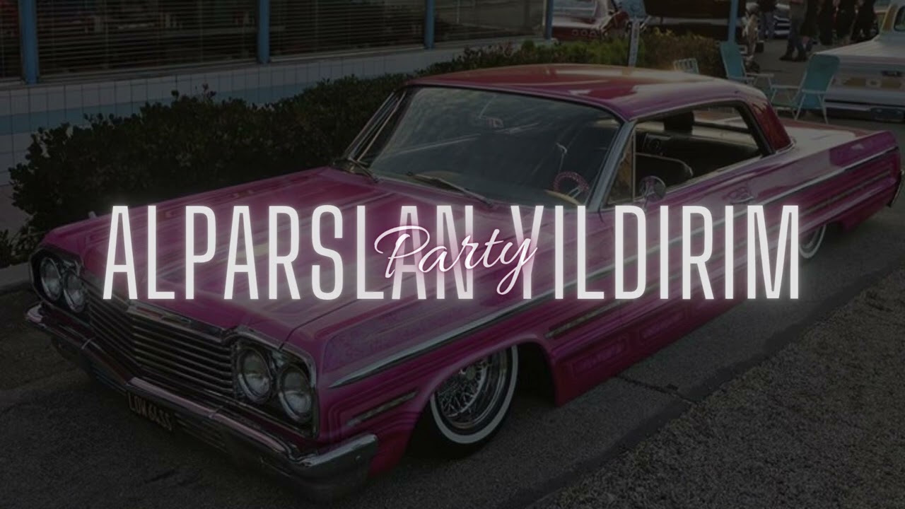 Alparslan Yıldırım - Party