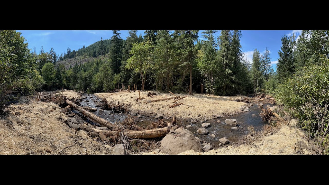 Neal Creek Restoration